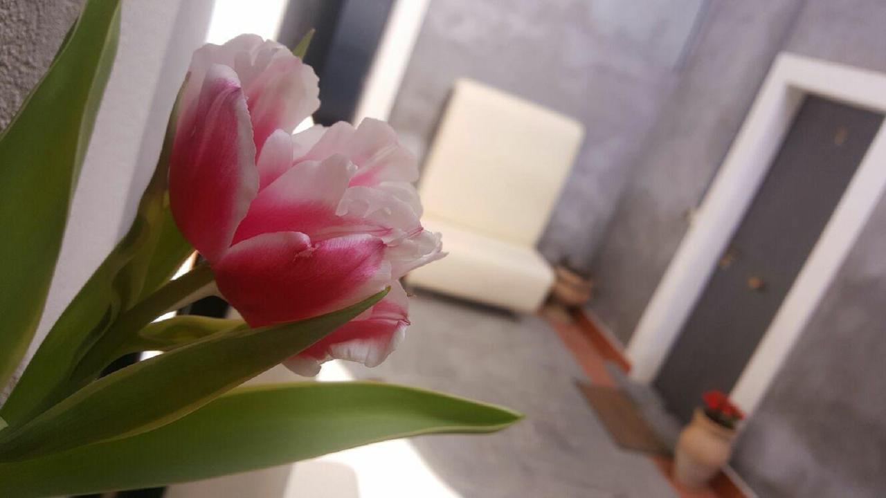 I Cappuccini Rooms 카타니아 외부 사진
